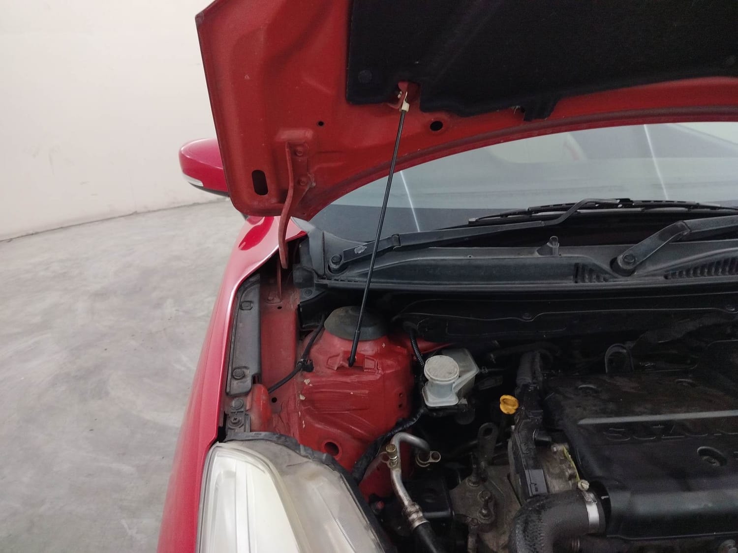 Baleno image 31 Baleno image 31