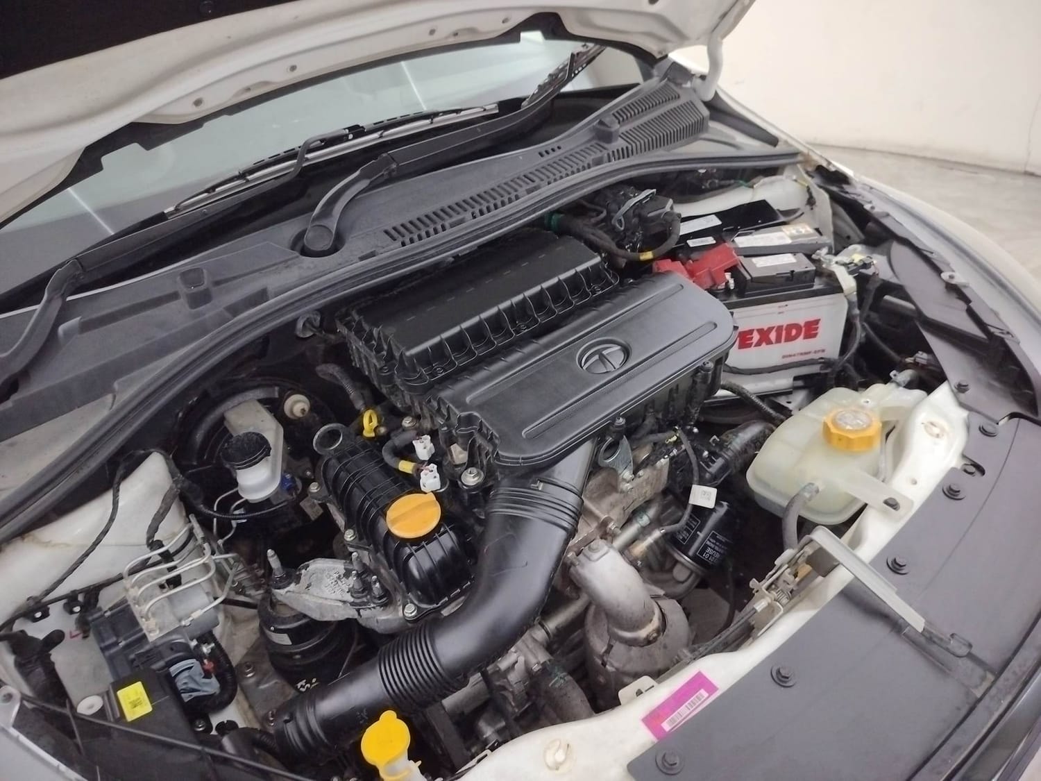 Tiago image 29 Tiago image 29