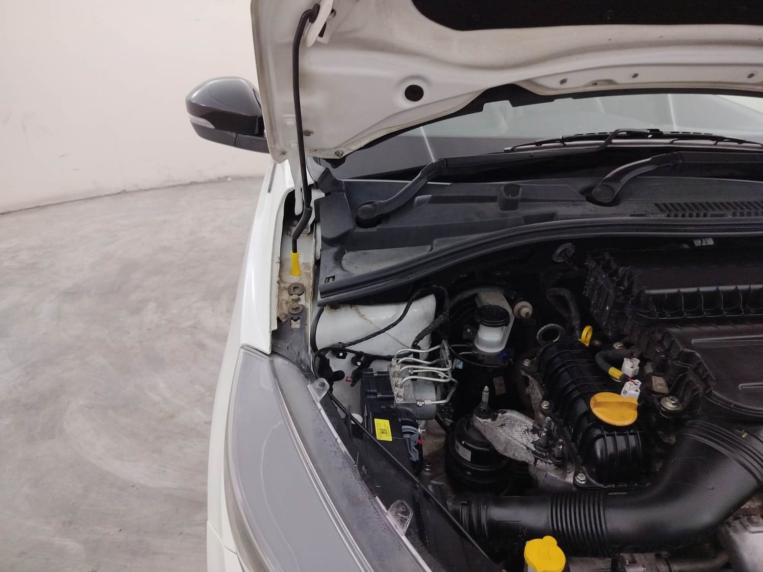 Tiago image 31 Tiago image 31