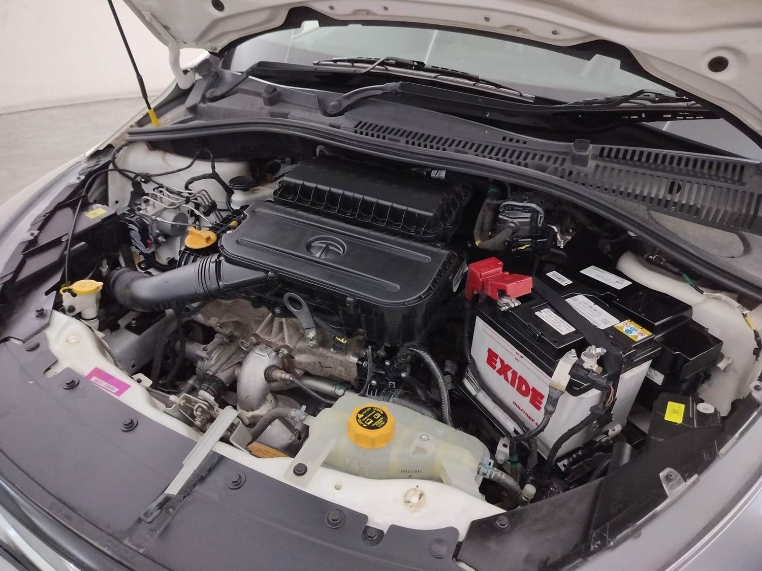 Tiago image 28 Tiago image 28