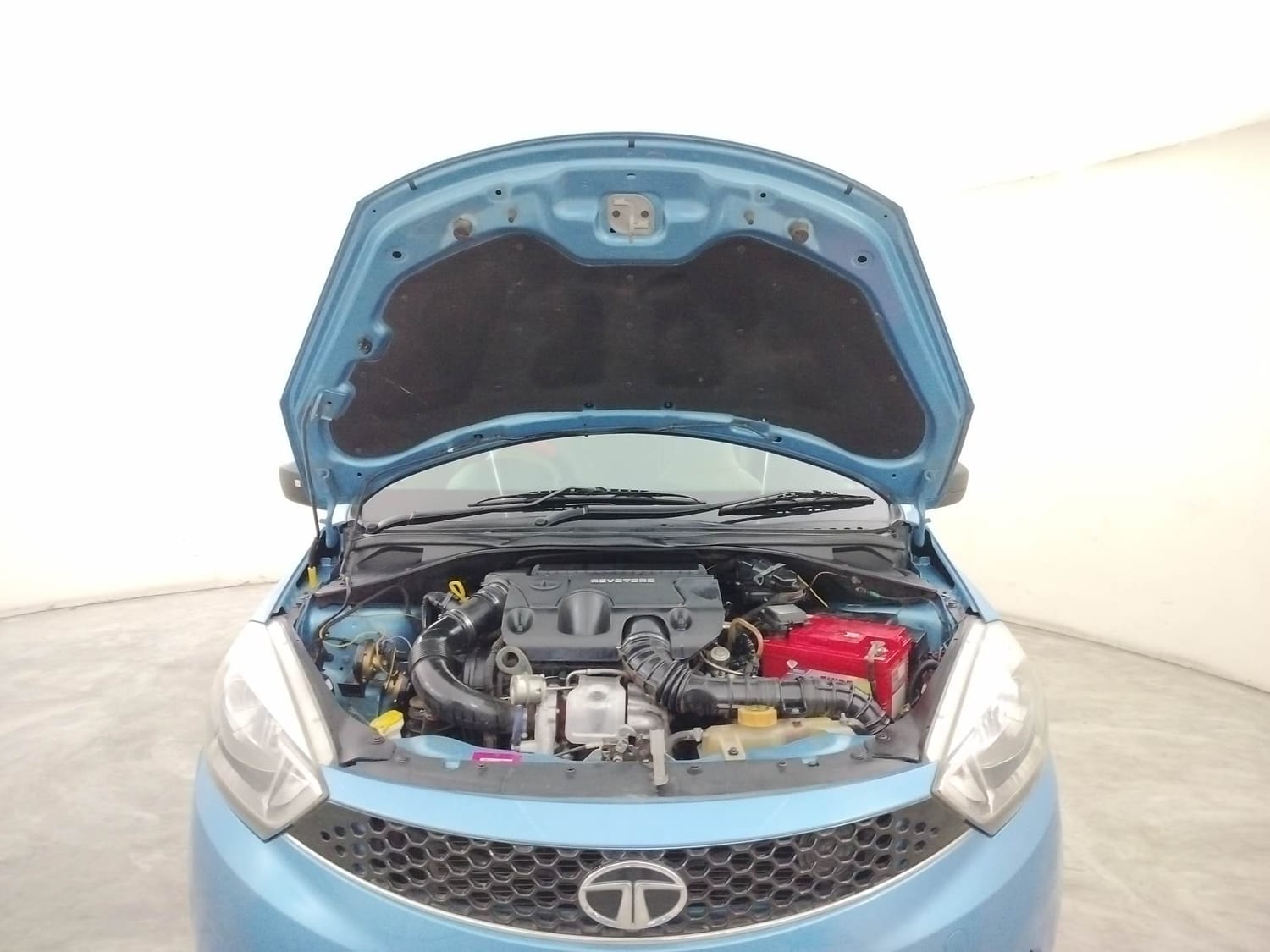 Tiago image 27 Tiago image 27