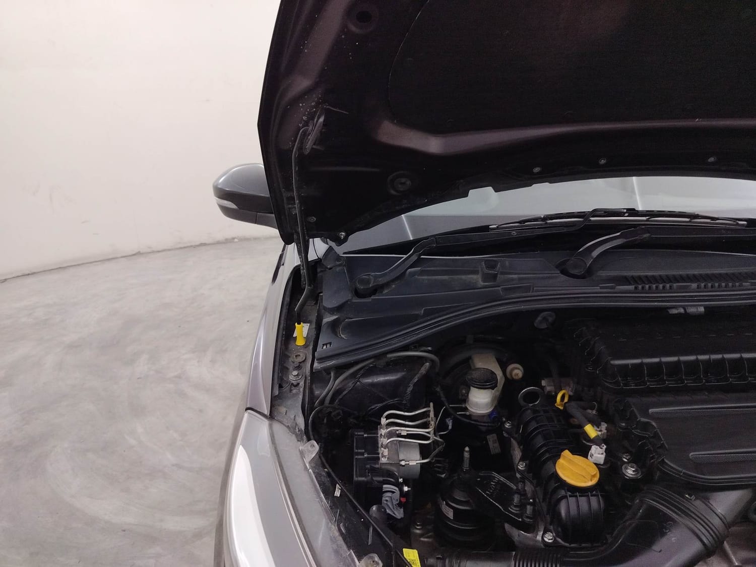 Tiago image 31 Tiago image 31