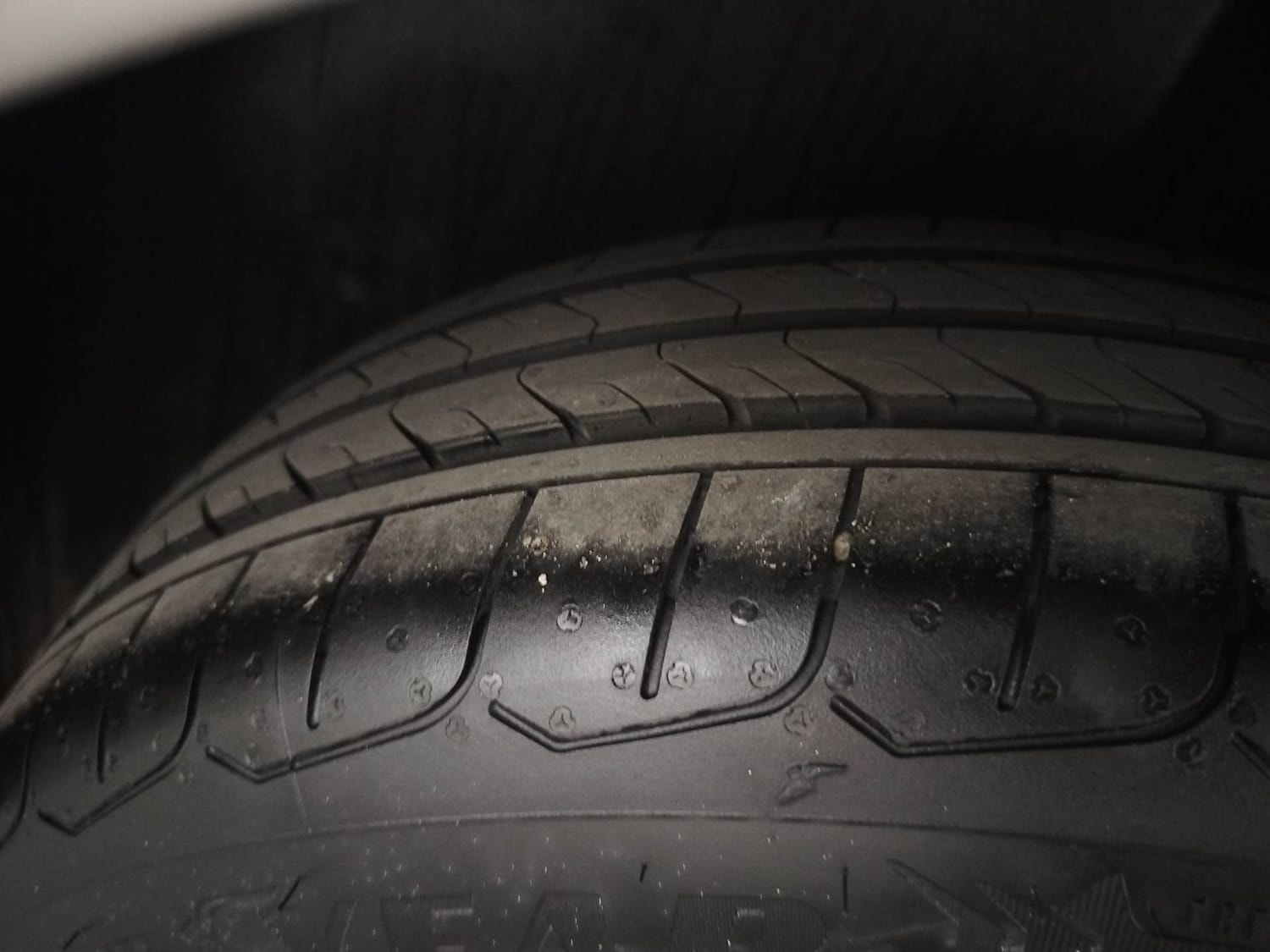 Polo image 39 Polo image 39