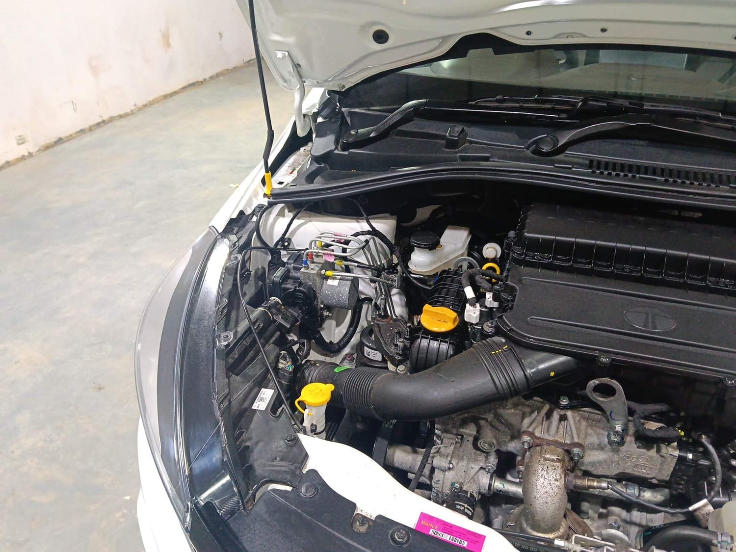 Tigor image 31 Tigor image 31