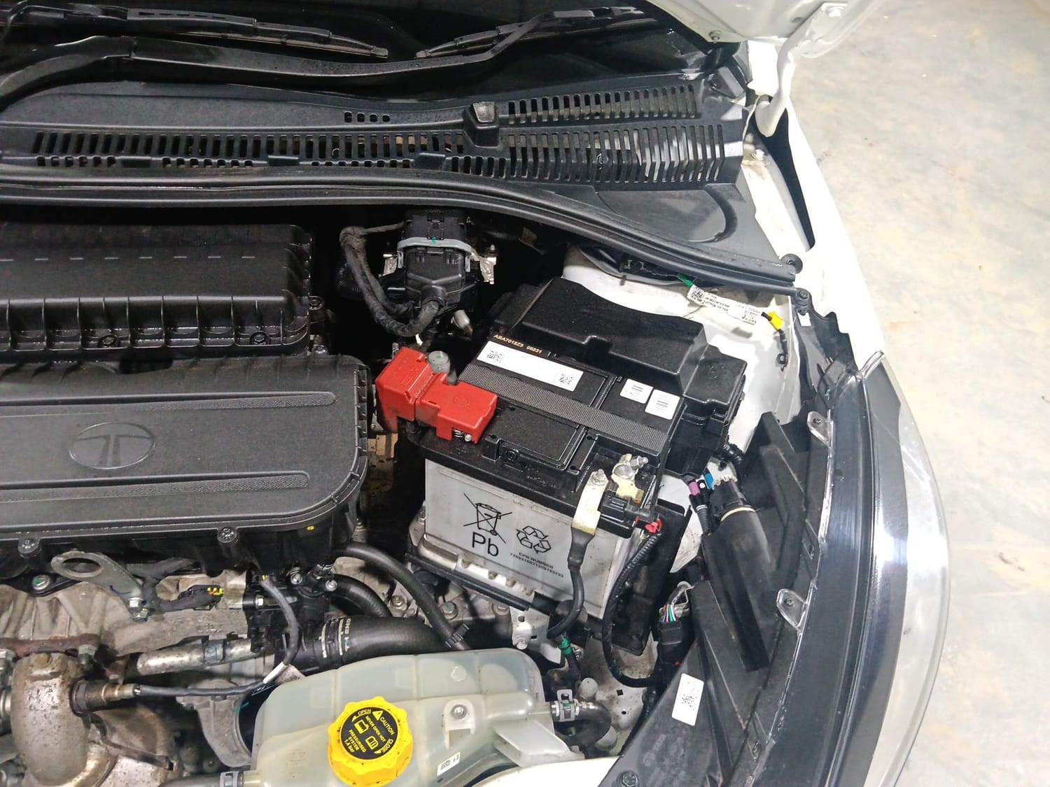 Tigor image 28 Tigor image 28