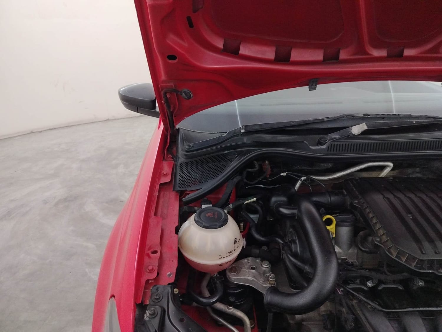 Polo image 31 Polo image 31