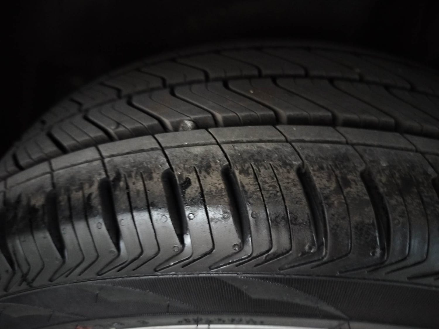 Polo image 39 Polo image 39