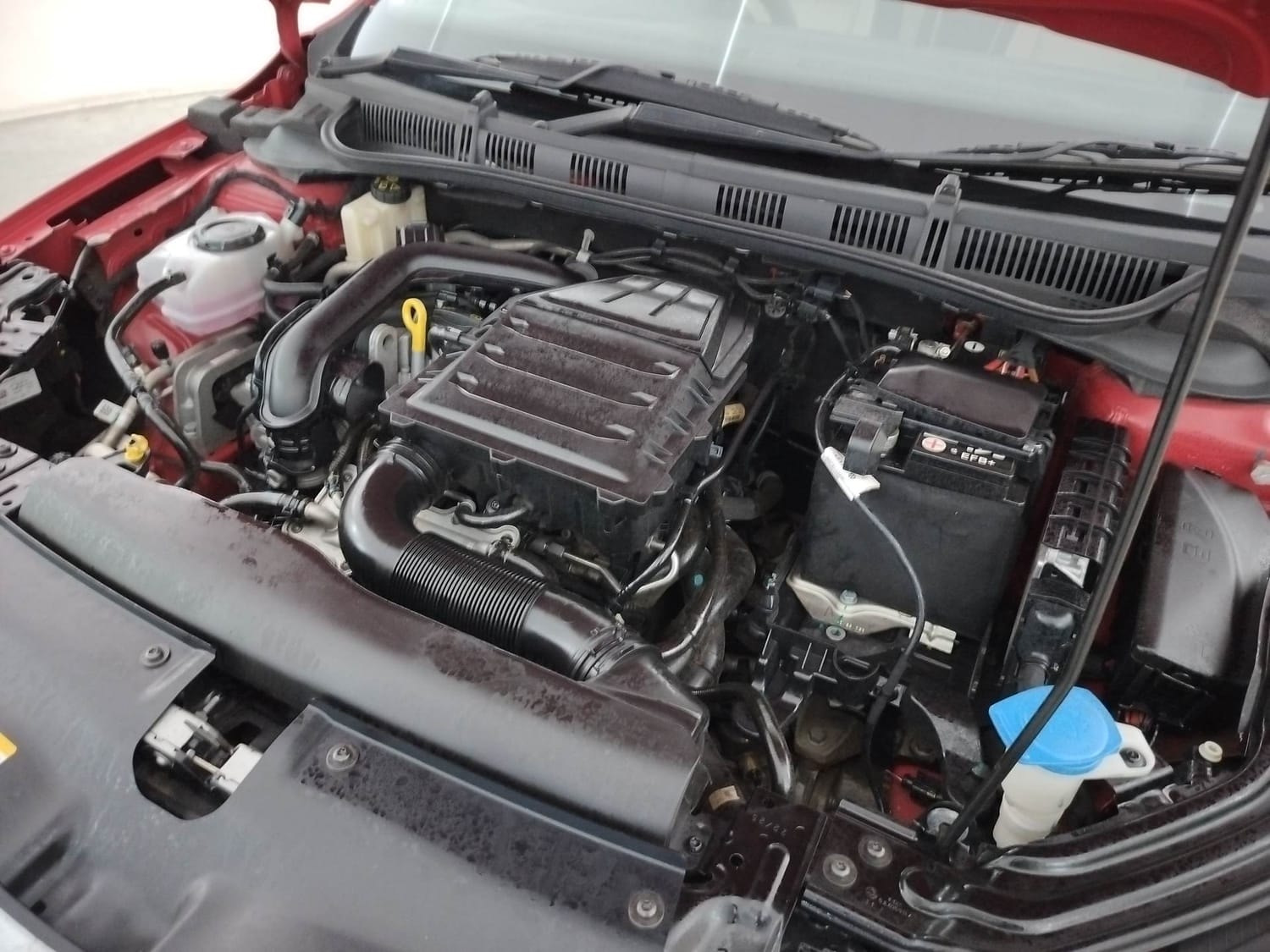 Slavia image 28 Slavia image 28