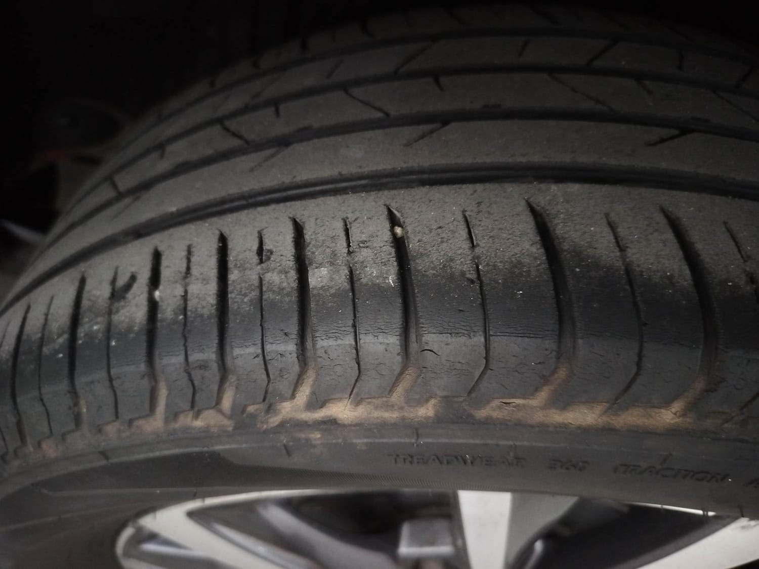 Slavia image 39 Slavia image 39