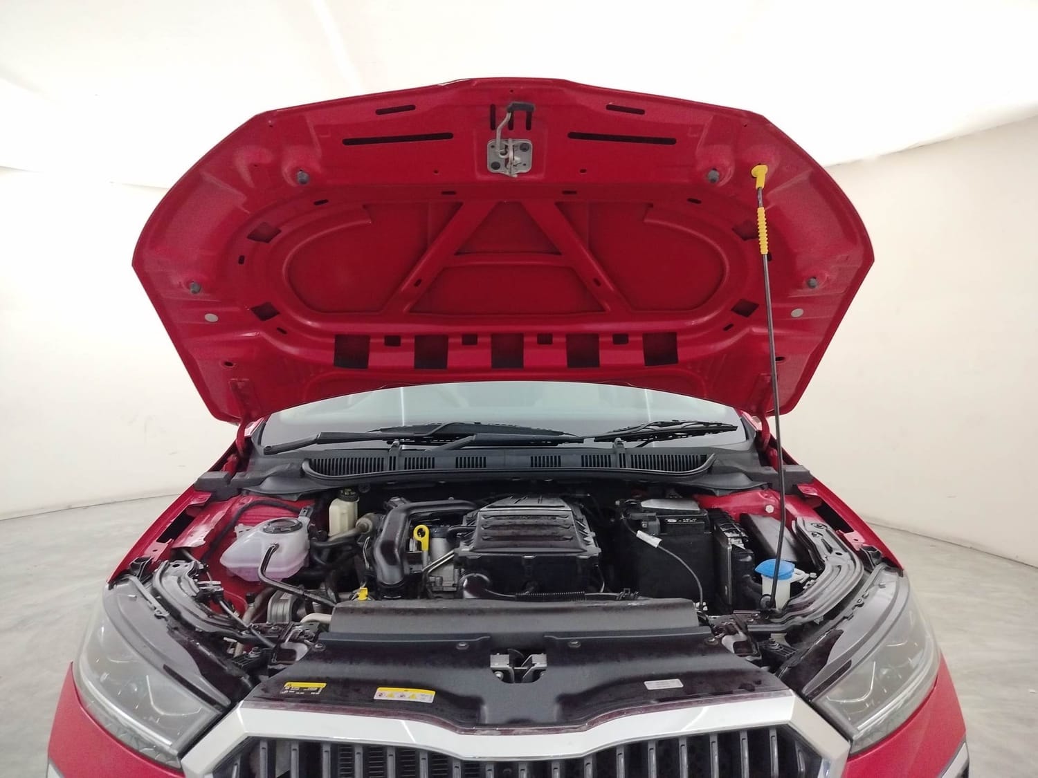 Slavia image 27 Slavia image 27