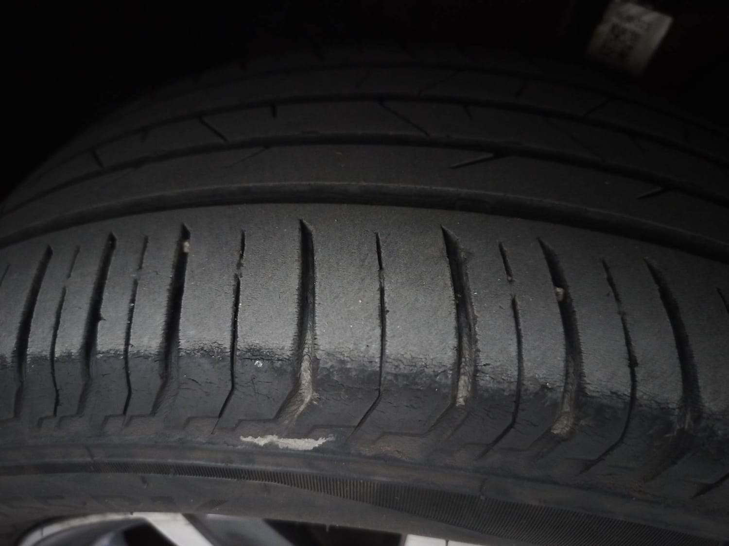 Slavia image 36 Slavia image 36