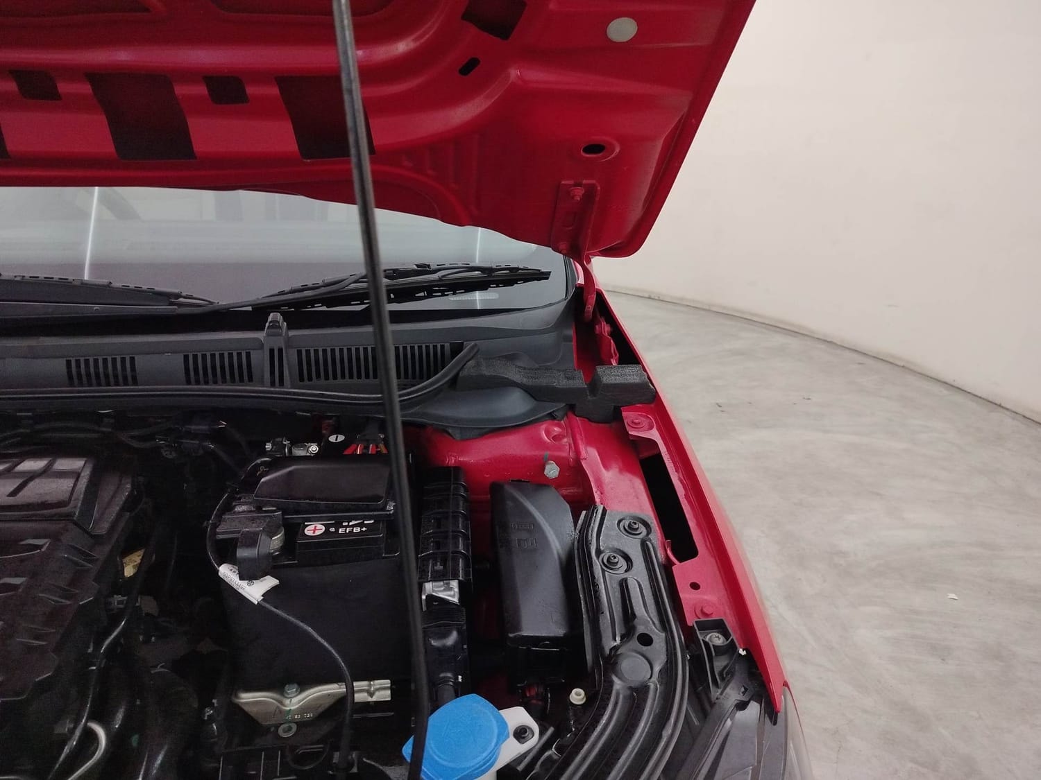 Slavia image 30 Slavia image 30