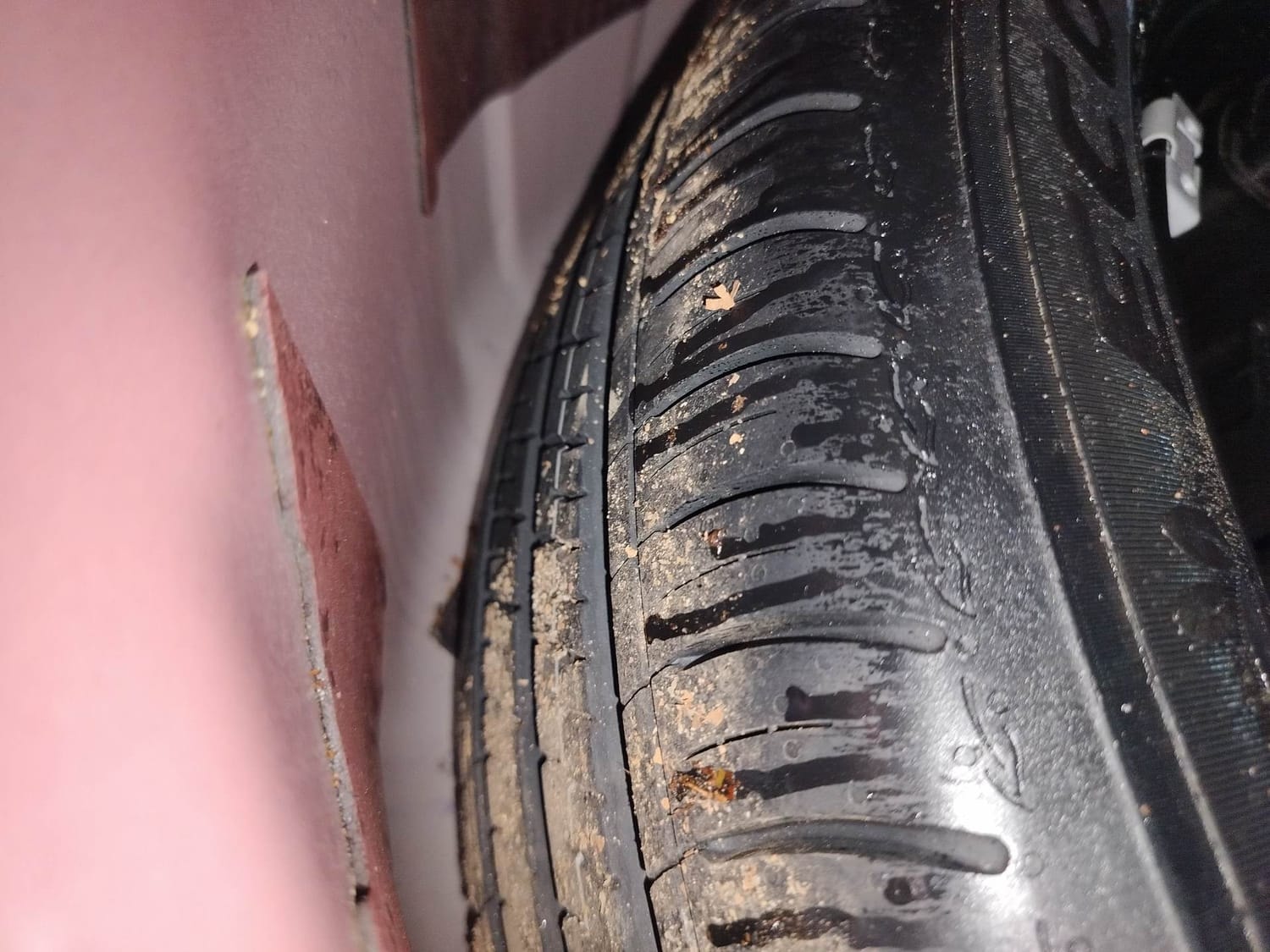 Slavia image 40 Slavia image 40