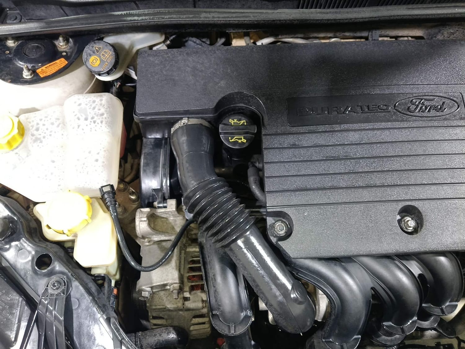 Figo image 29 Figo image 29