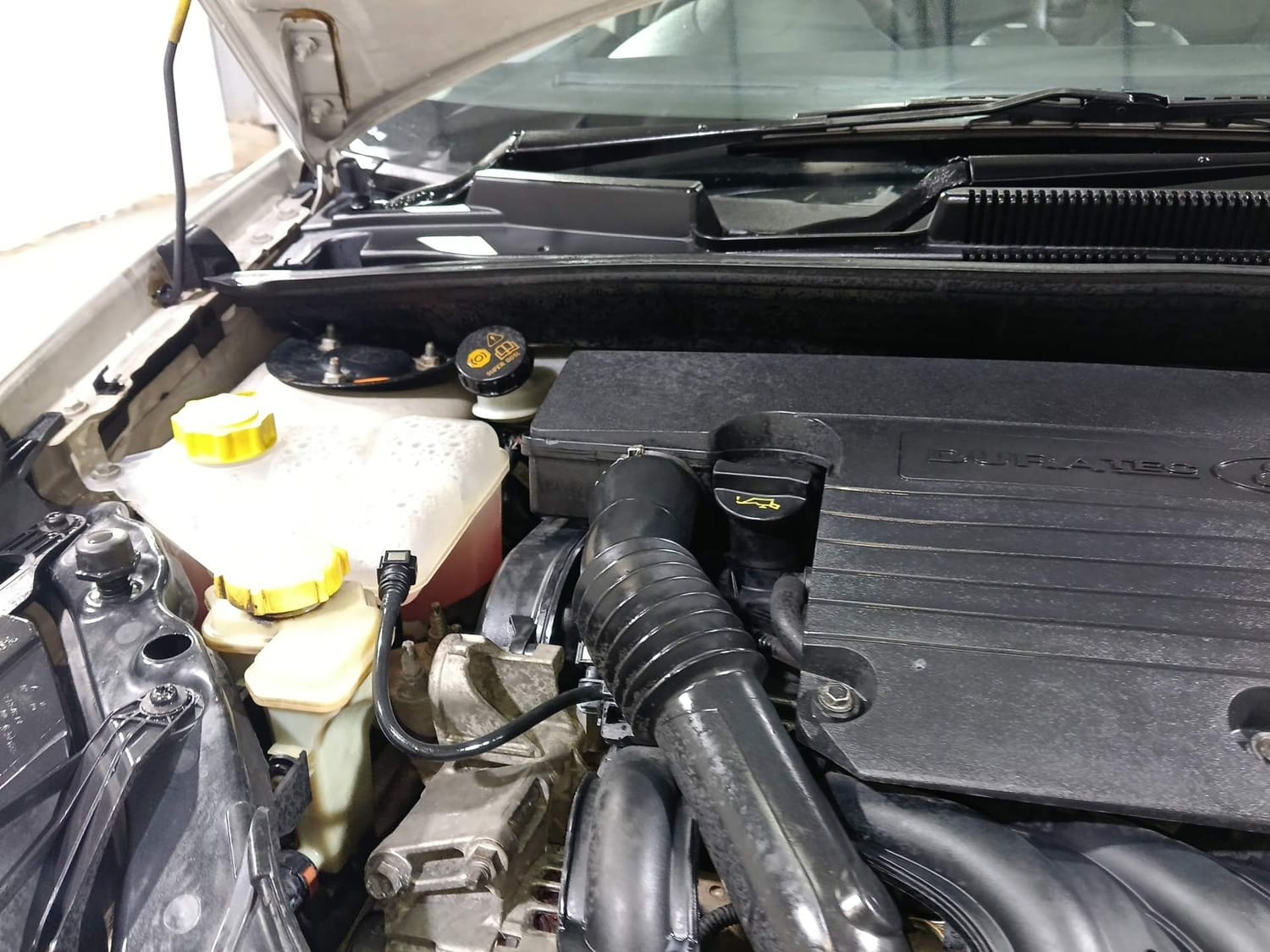 Figo image 31 Figo image 31