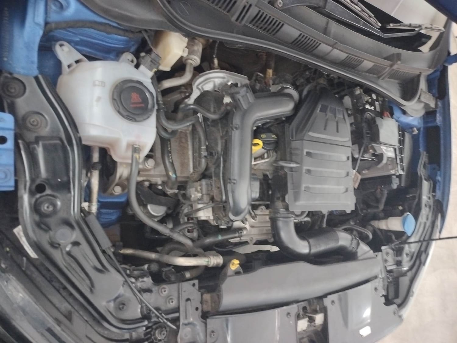 Virtus image 29 Virtus image 29