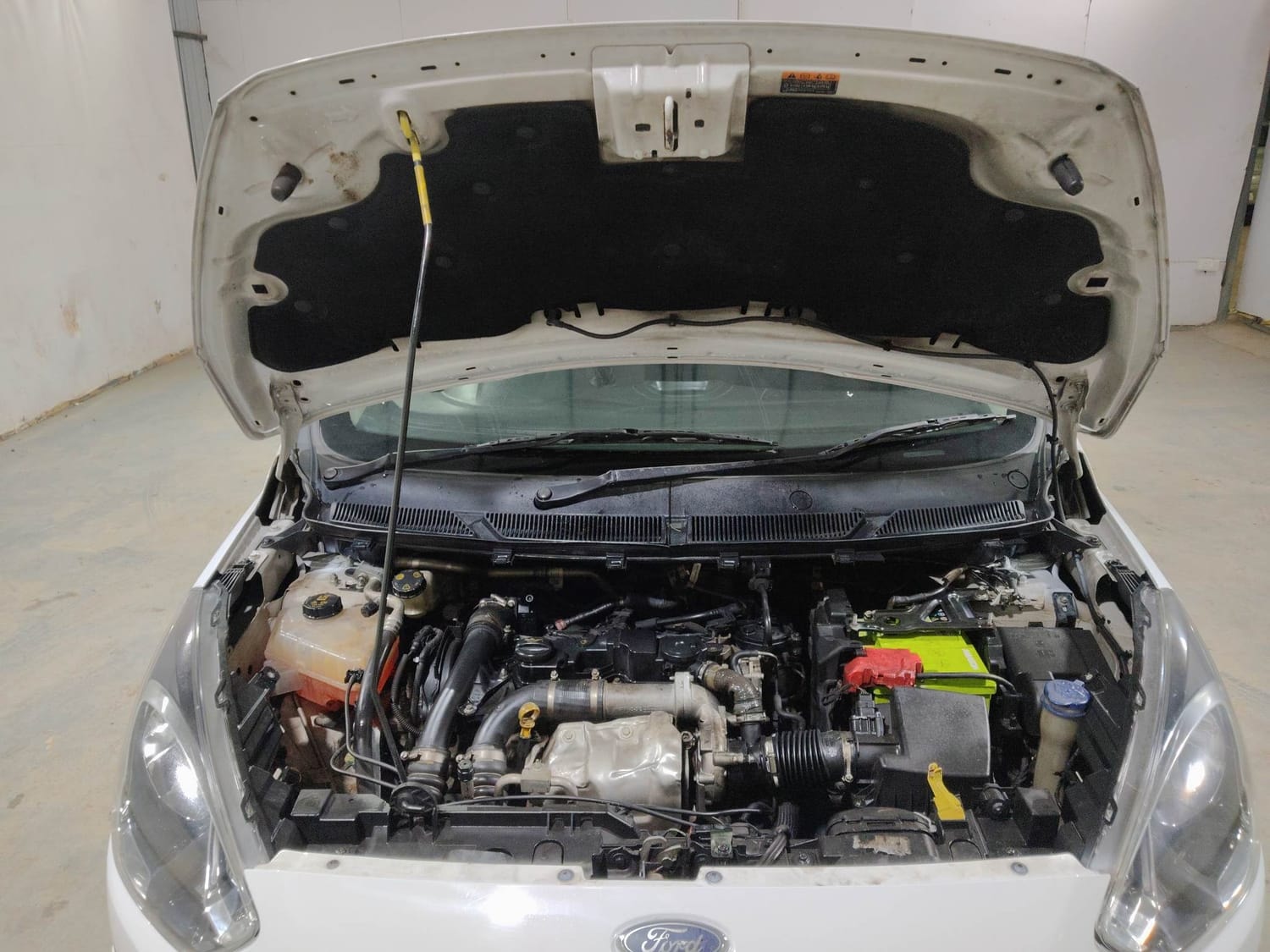 Figo image 27 Figo image 27