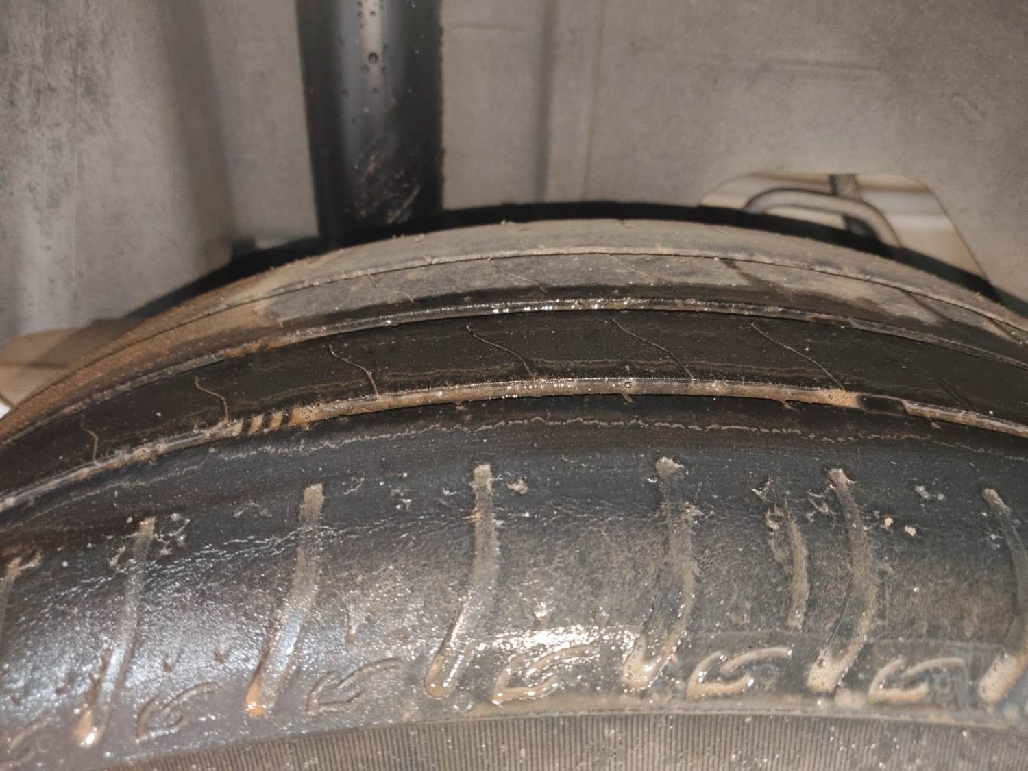 Figo image 37 Figo image 37