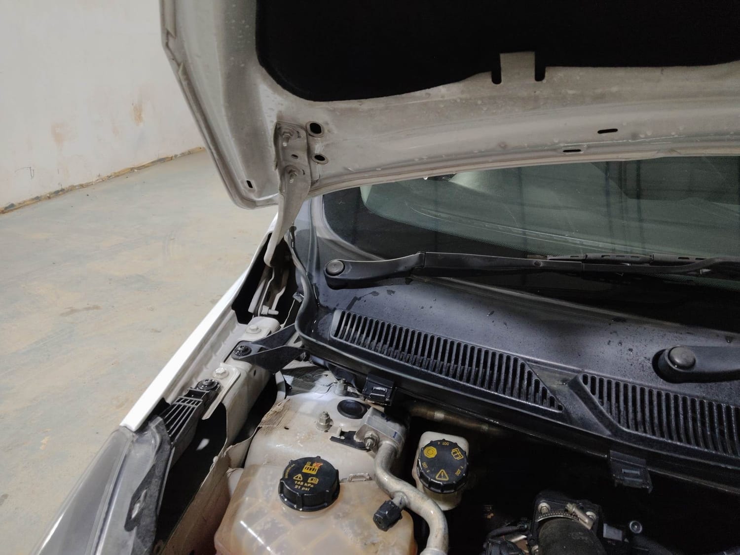 Figo image 31 Figo image 31