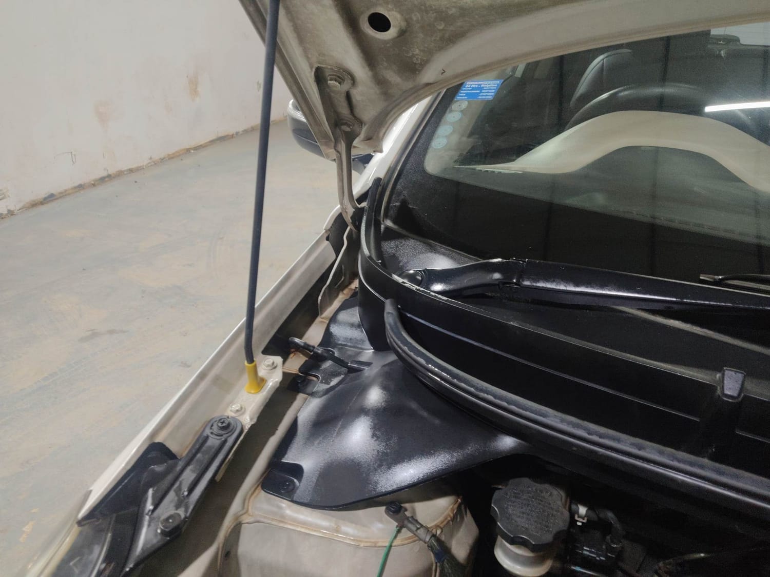 Elite i20 image 31 Elite i20 image 31