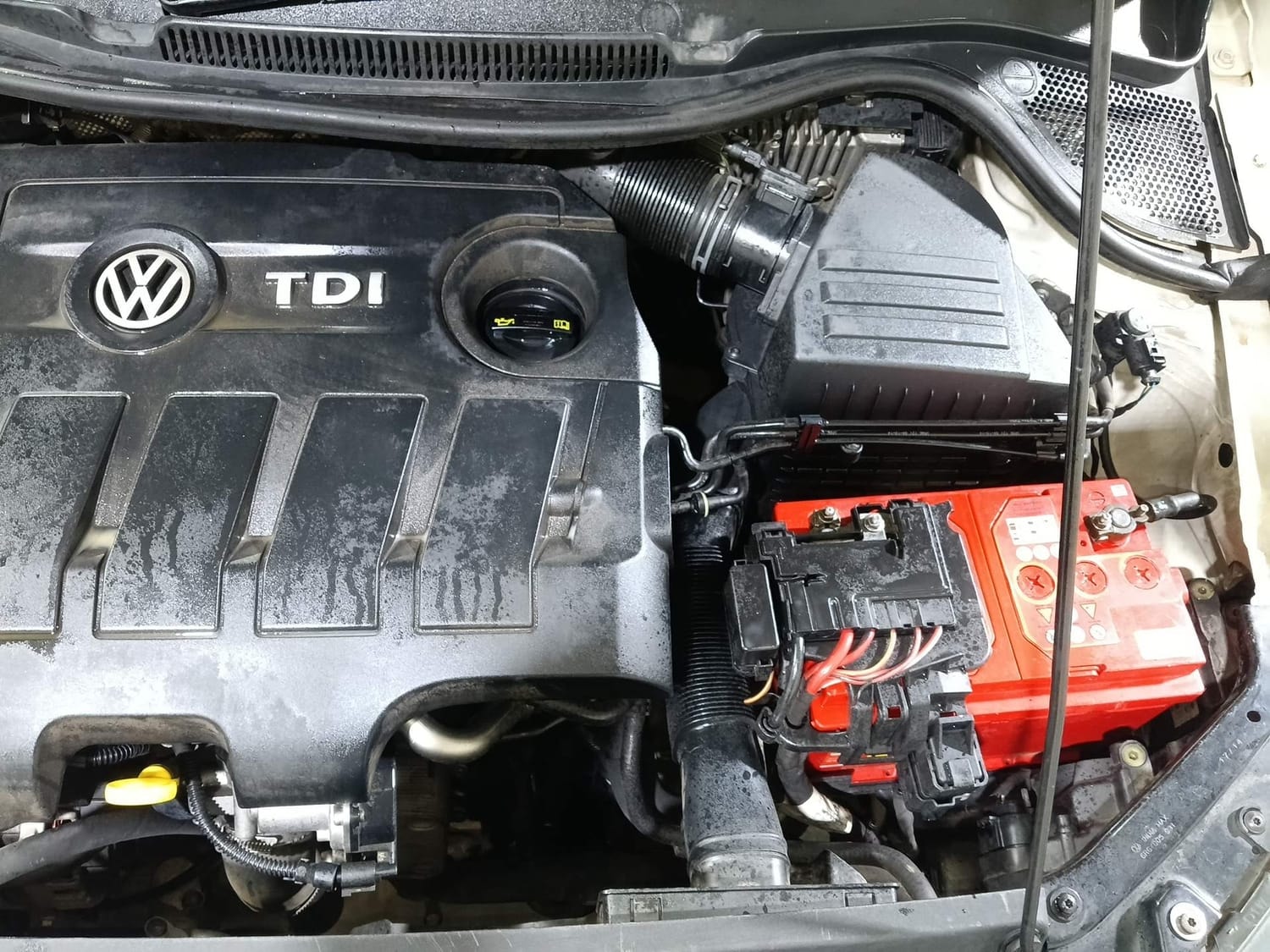 Polo image 28 Polo image 28