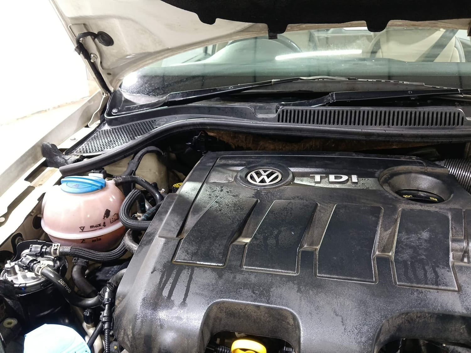 Polo image 31 Polo image 31