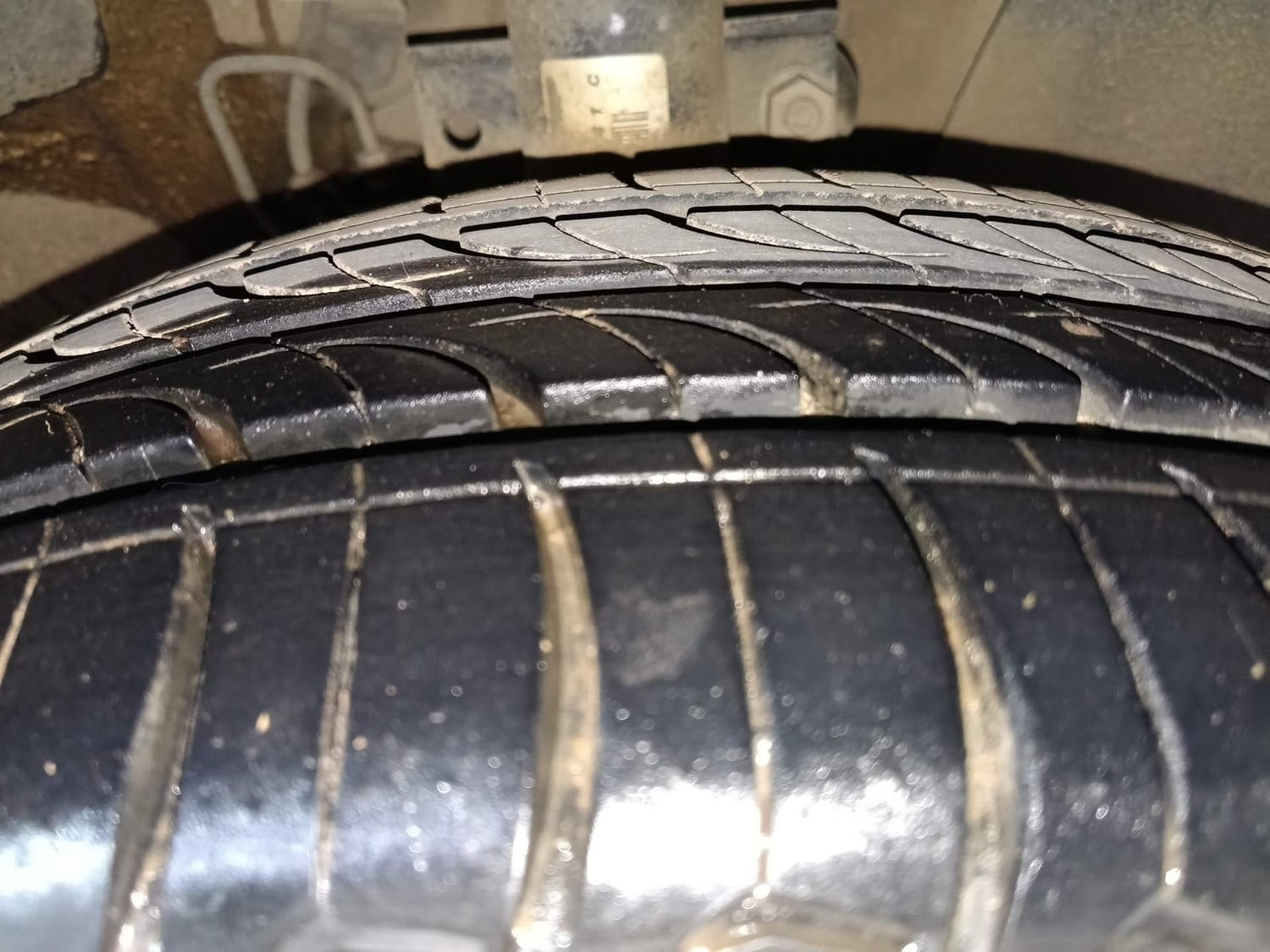 Polo image 36 Polo image 36