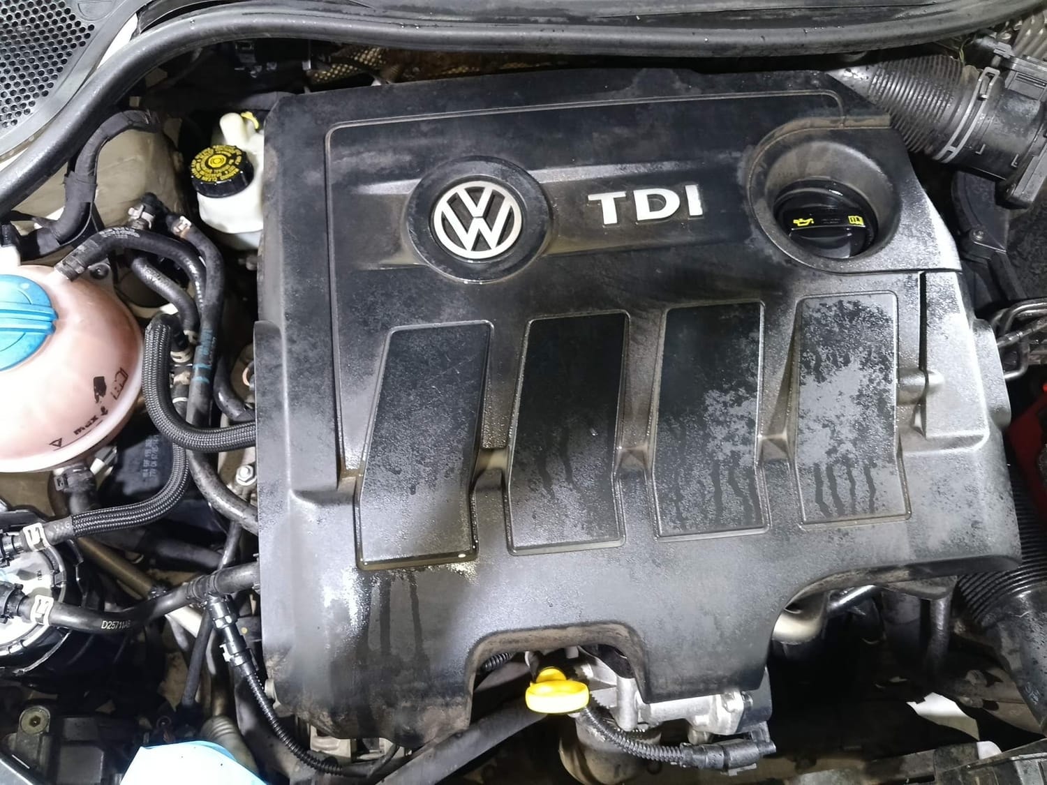 Polo image 29 Polo image 29