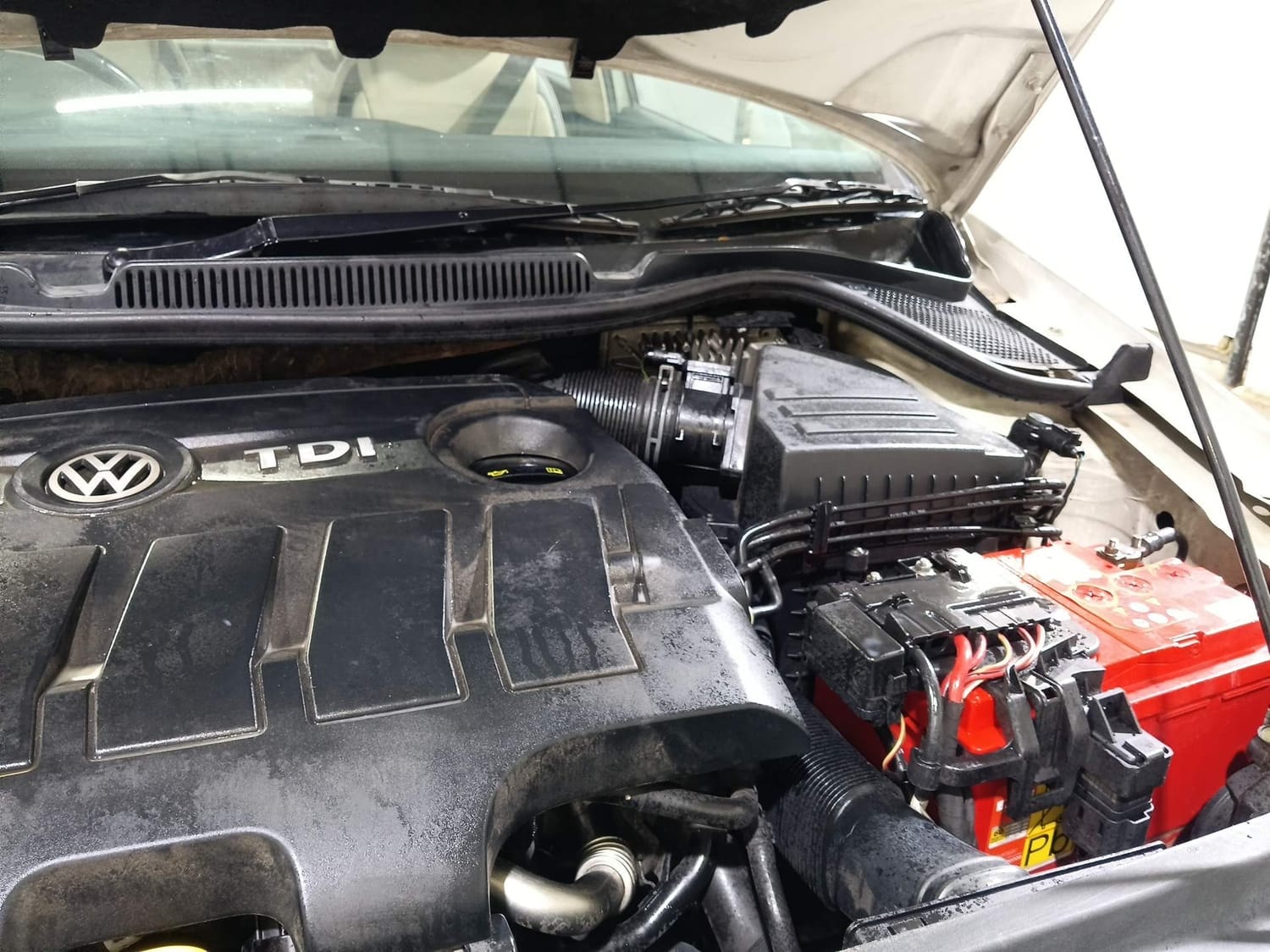 Polo image 30 Polo image 30