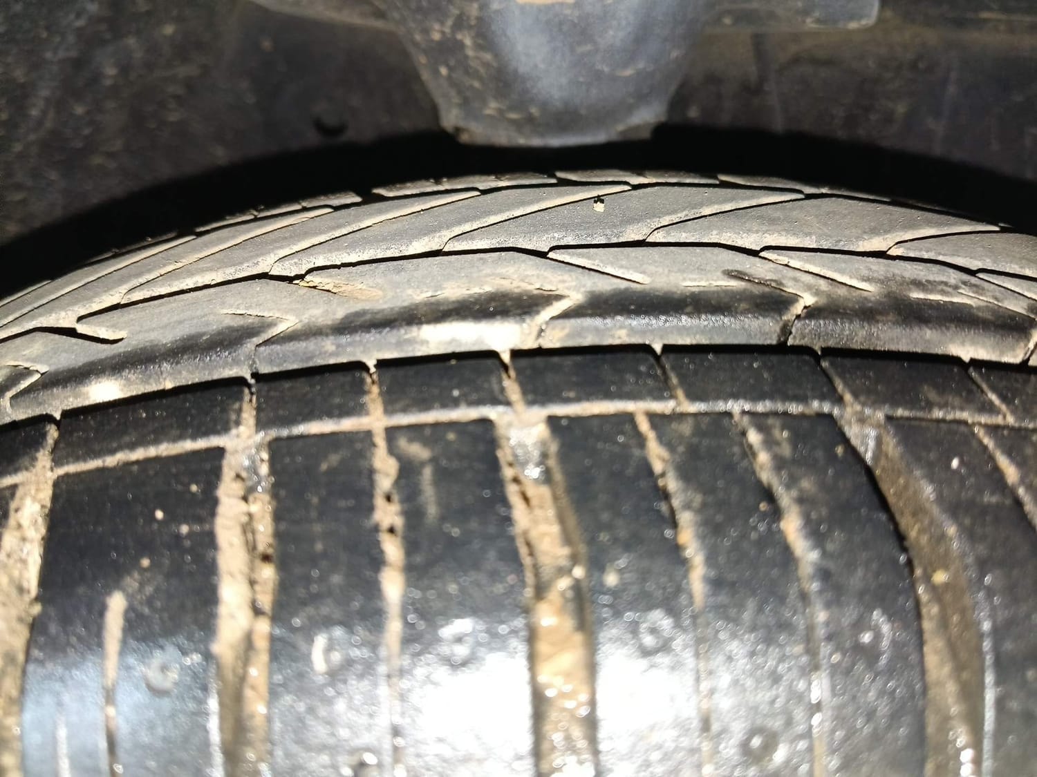 EON image 36 EON image 36