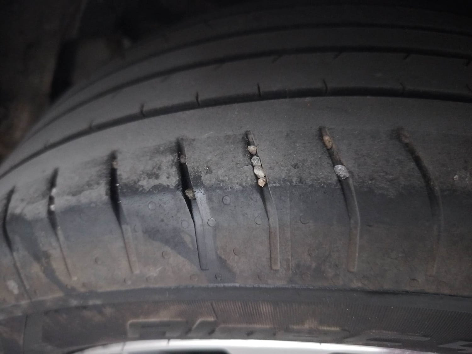 Verna image 39 Verna image 39