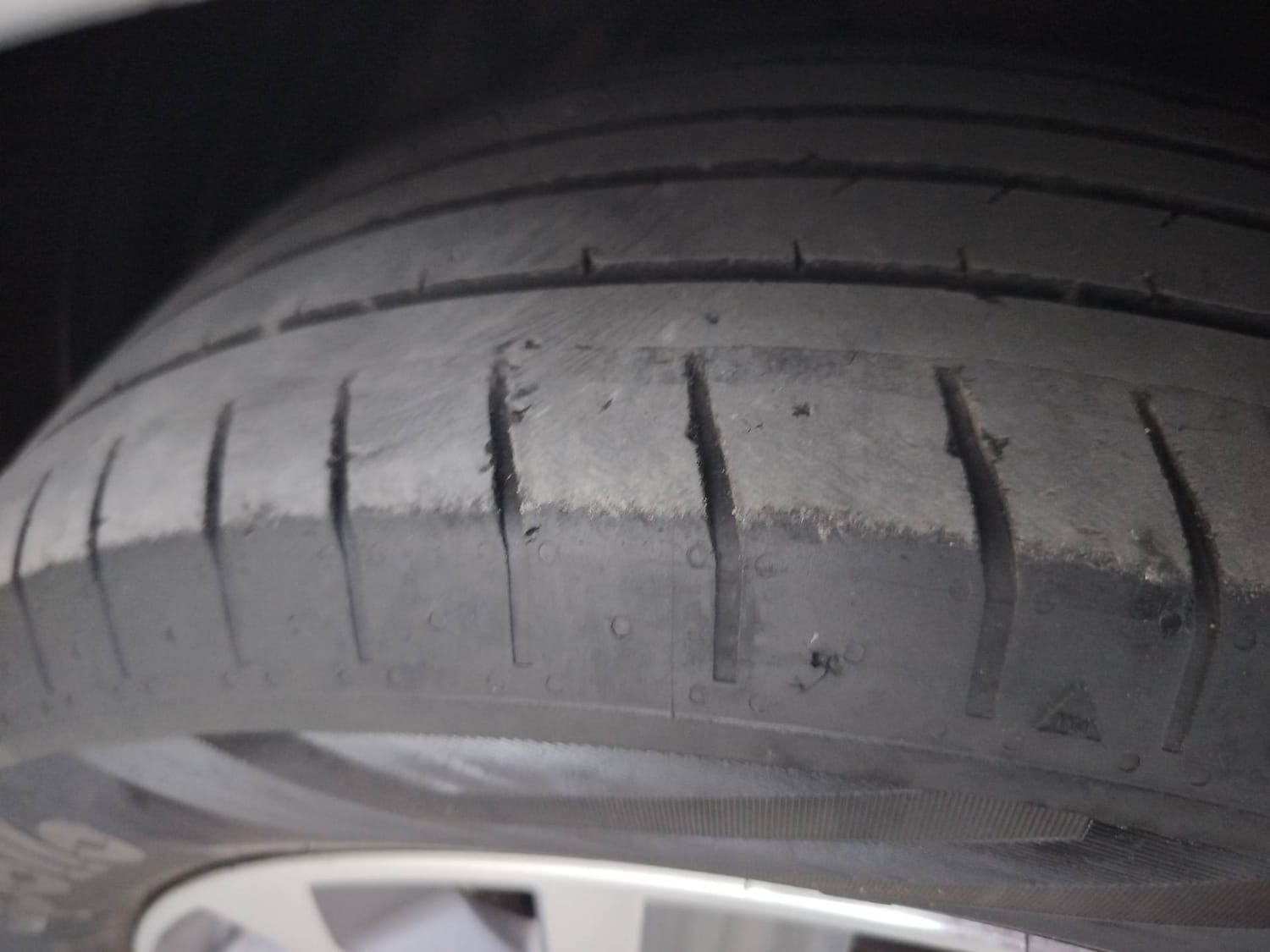 Verna image 38 Verna image 38