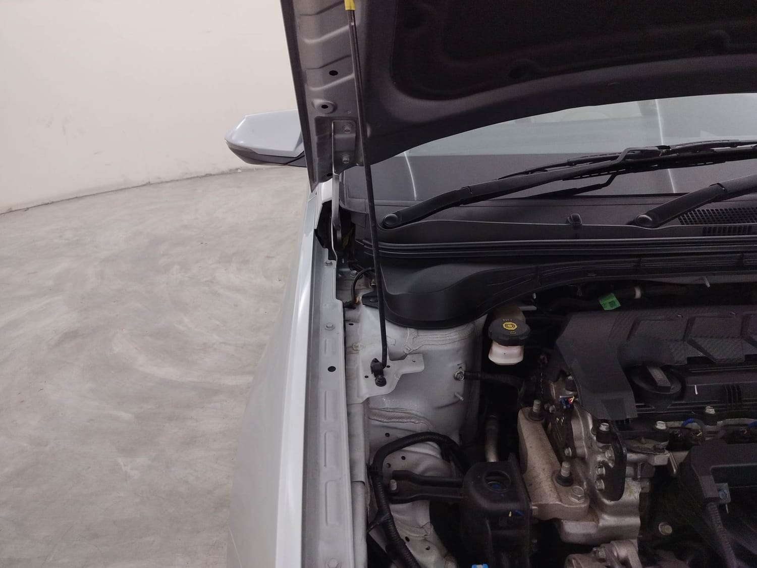 Verna image 31 Verna image 31