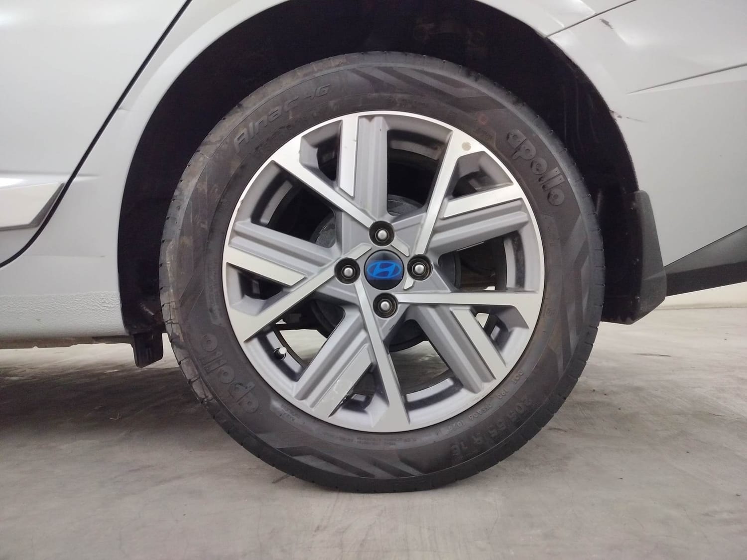 Verna image 35 Verna image 35