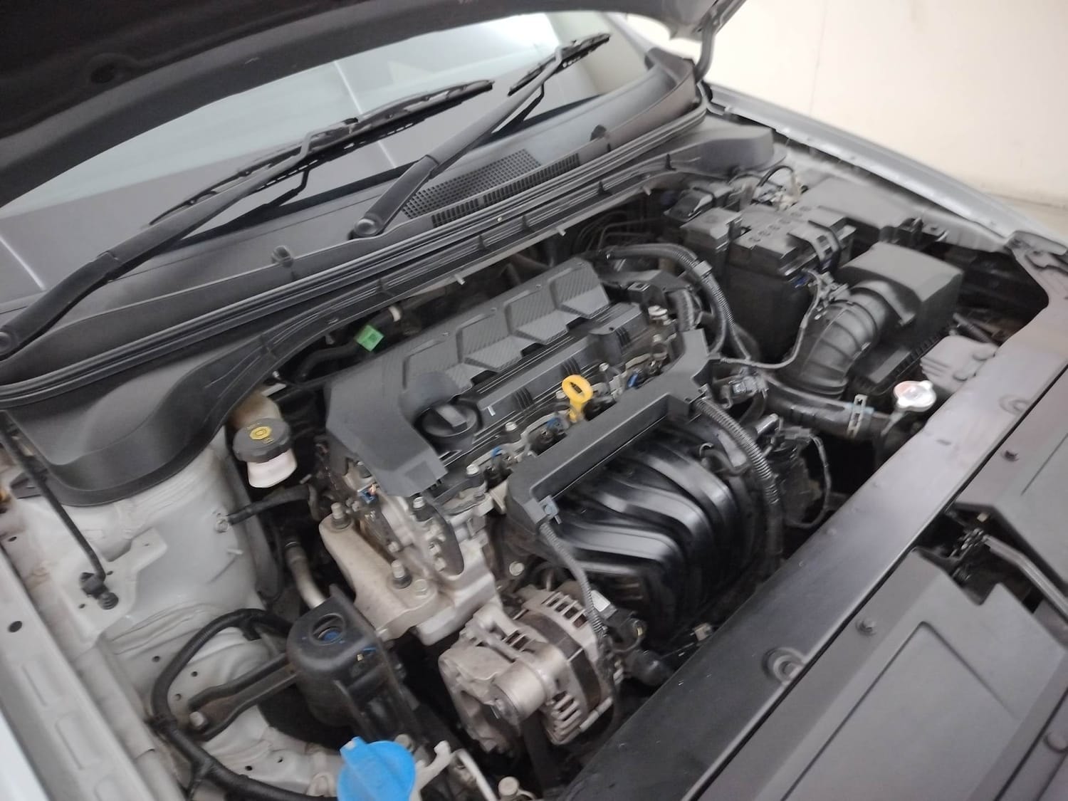 Verna image 29 Verna image 29