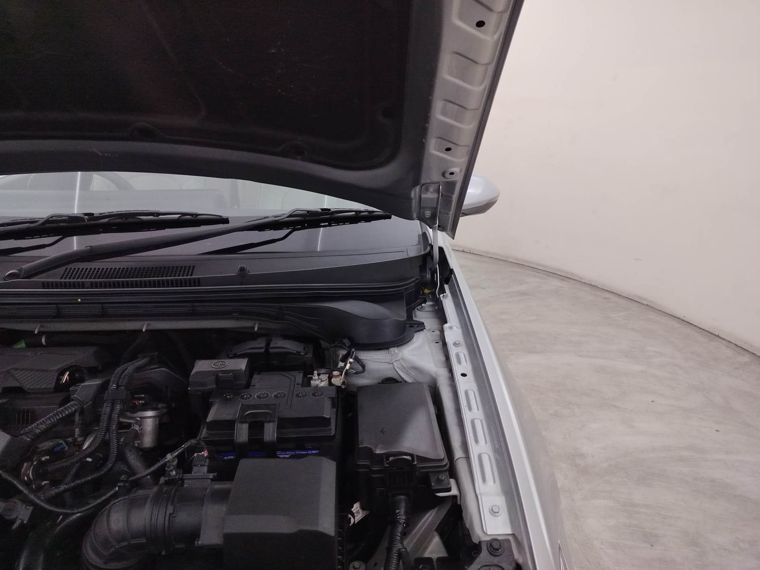 Verna image 30 Verna image 30