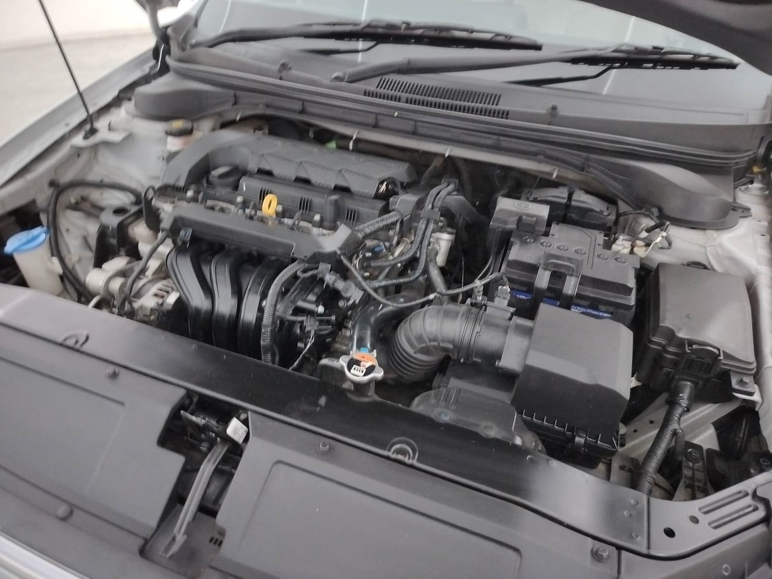 Verna image 28 Verna image 28