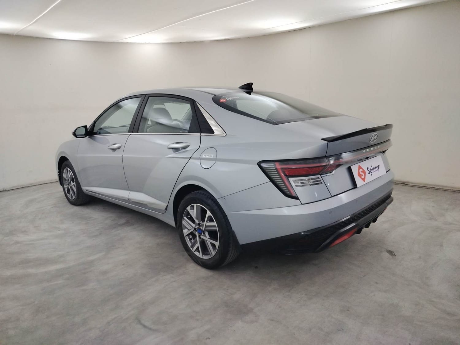 Verna image 3 Verna image 3