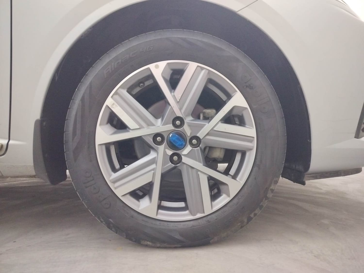 Verna image 32 Verna image 32