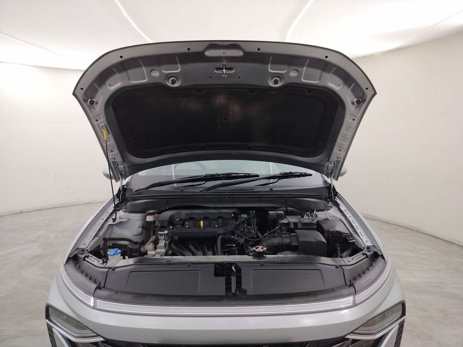 Verna image 27 Verna image 27