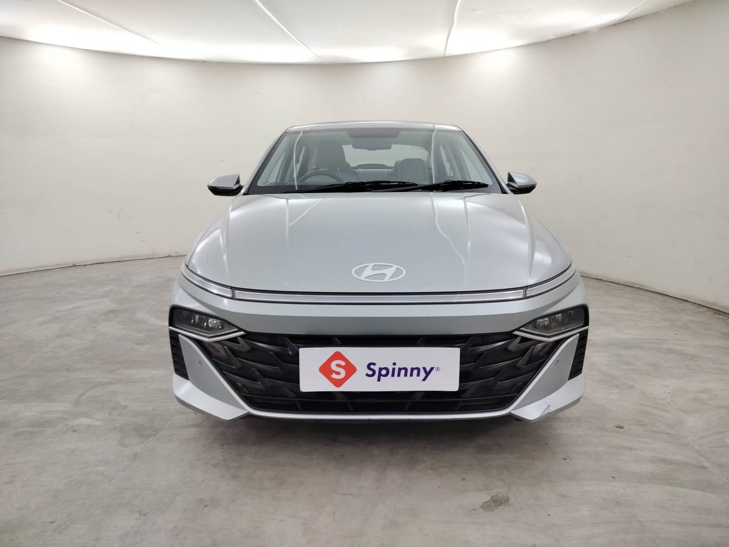 Verna image 8 Verna image 8