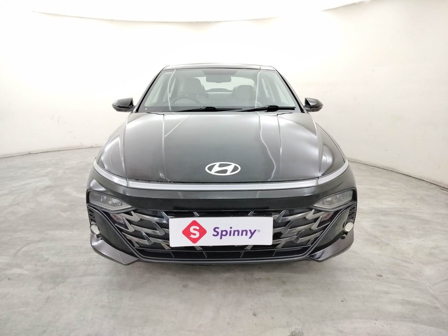 Verna image 8 Verna image 8