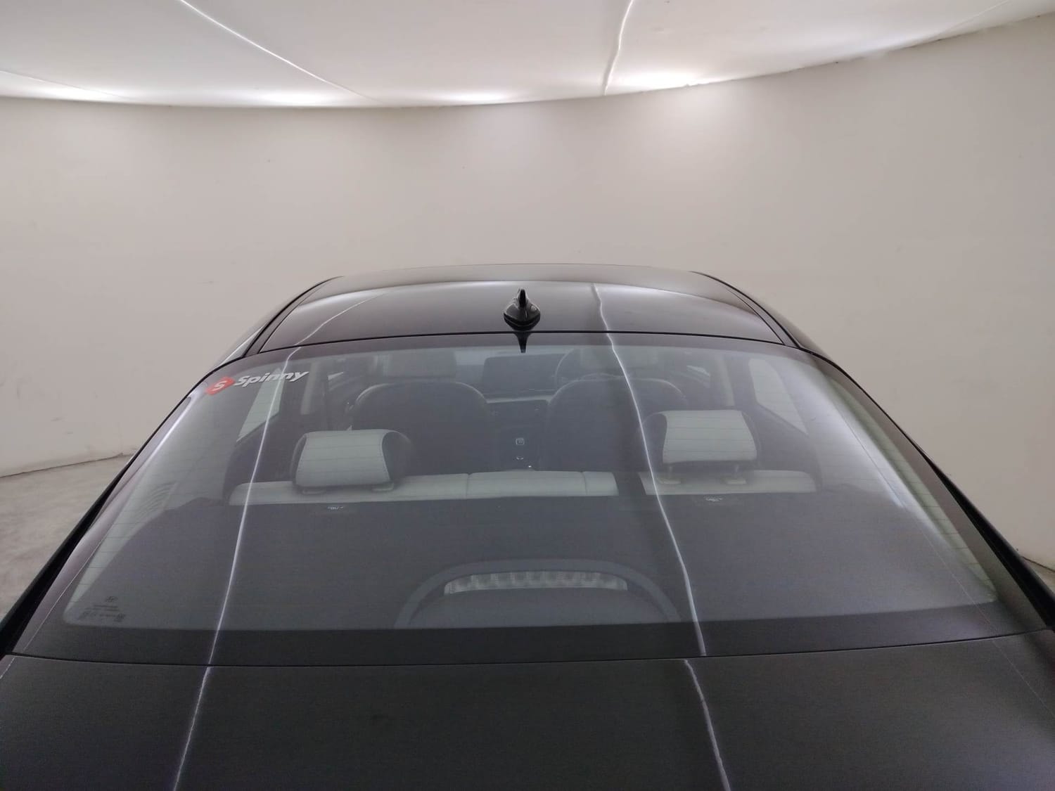 Verna image 10 Verna image 10