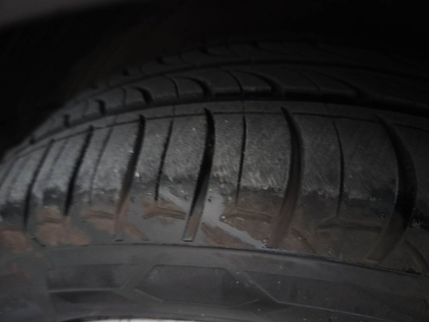 Verna image 38 Verna image 38