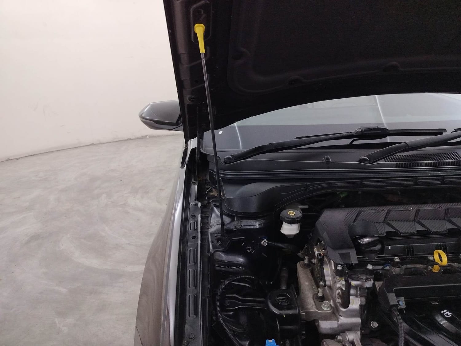 Verna image 31 Verna image 31