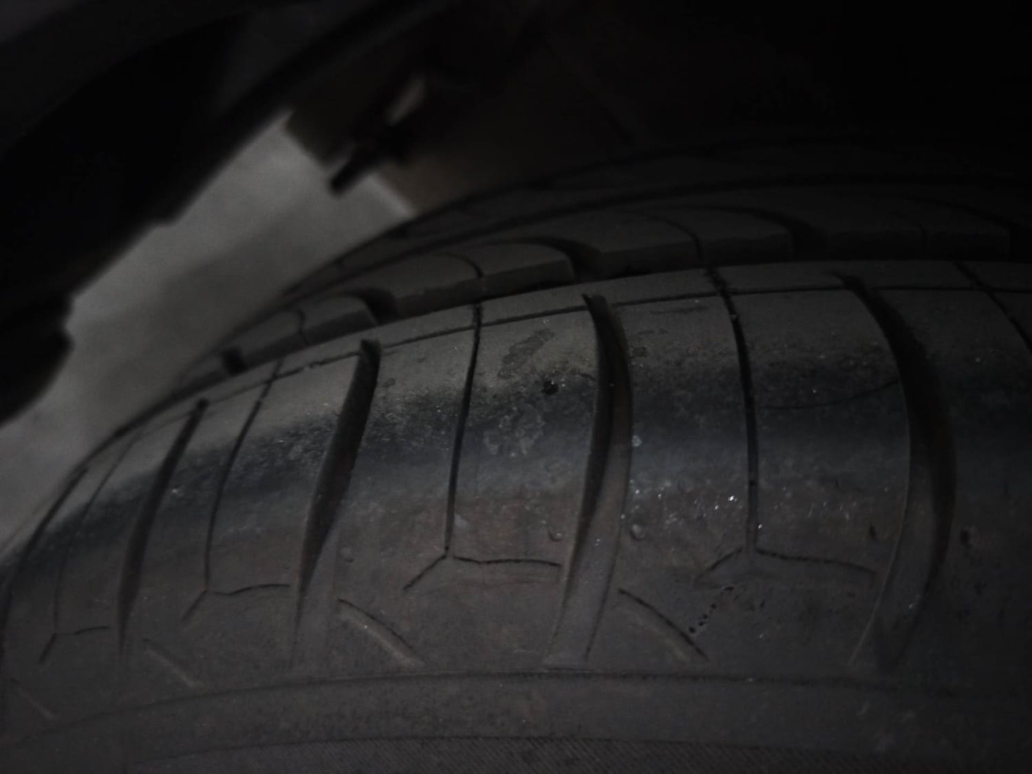 Verna image 37 Verna image 37