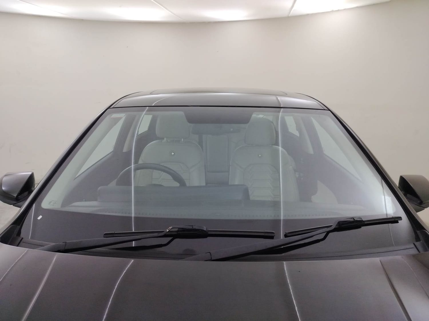 Verna image 9 Verna image 9