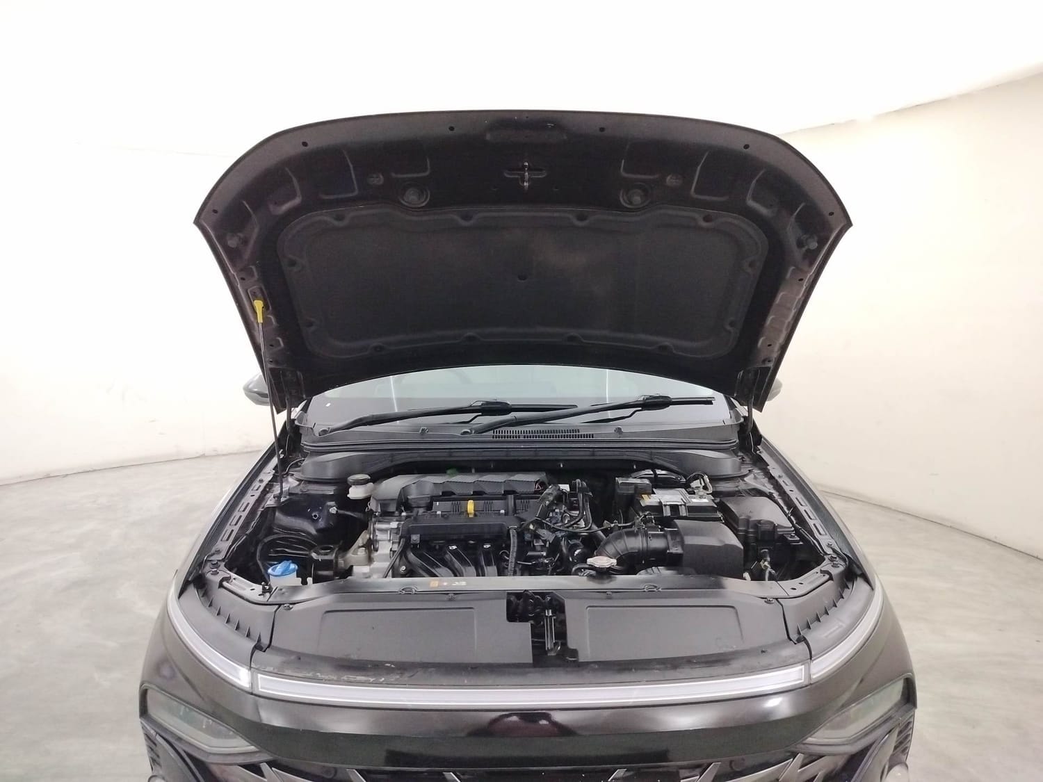 Verna image 27 Verna image 27