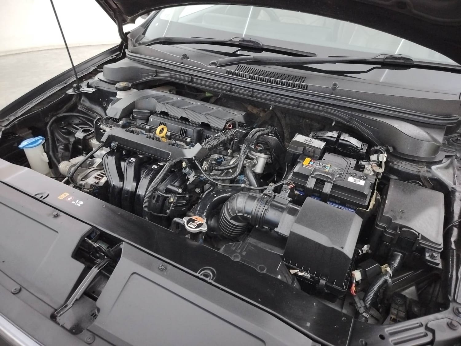 Verna image 28 Verna image 28