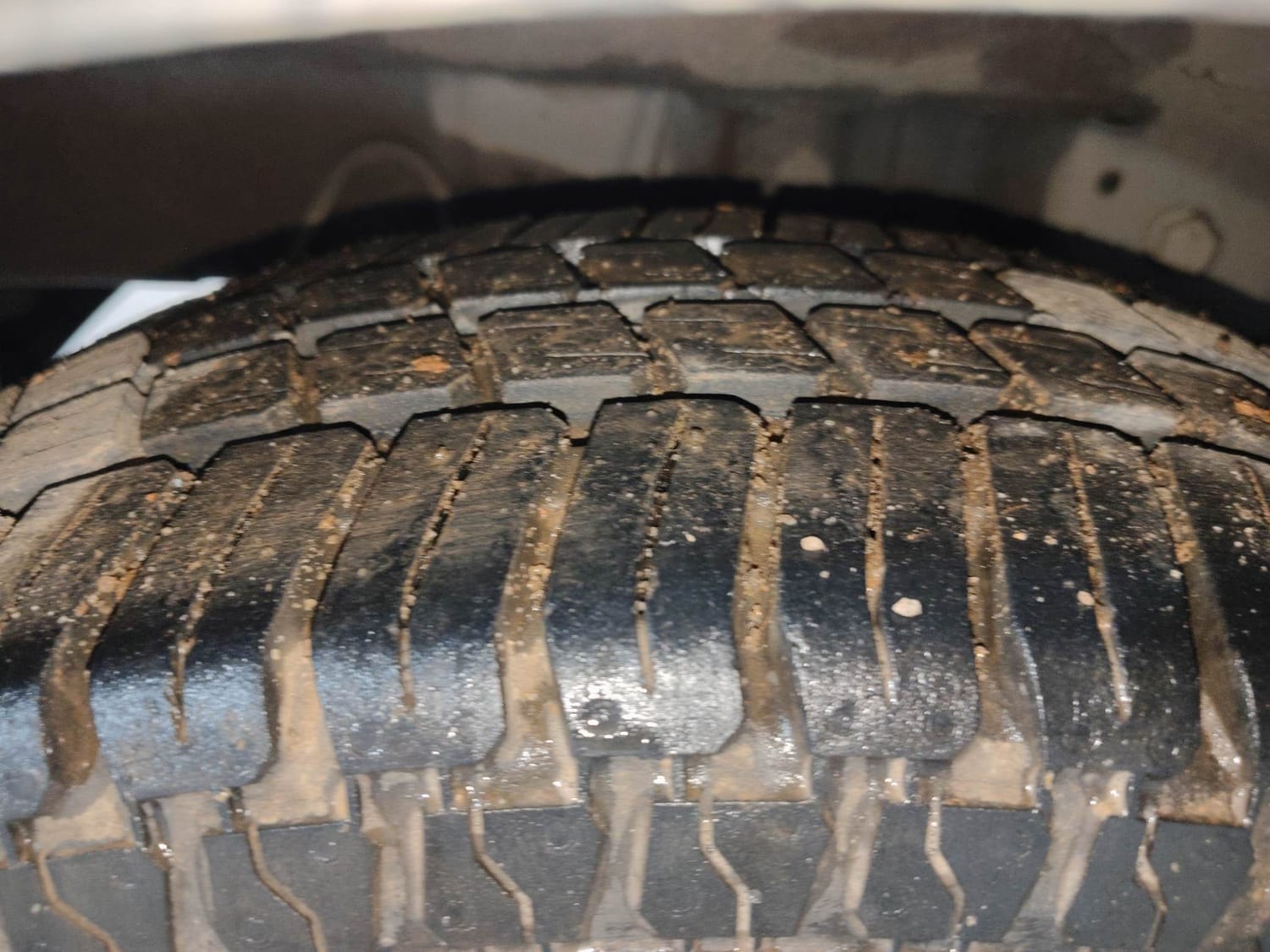 EON image 37 EON image 37